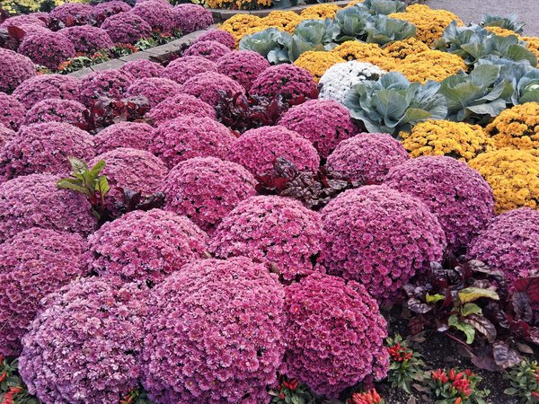 Services de décoration intérieure par un cabinet d'architecte