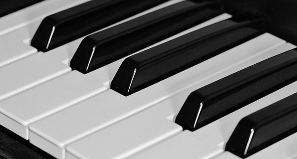 Explorez la magie des pianos : variété et élégance pour tous